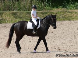img-99641-613